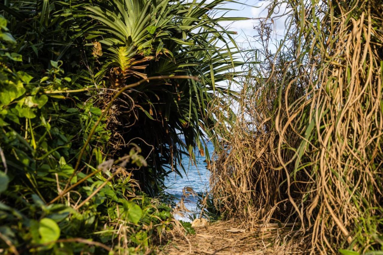 Kouri Beach Side Villa Yumandi Nakijin Buitenkant foto
